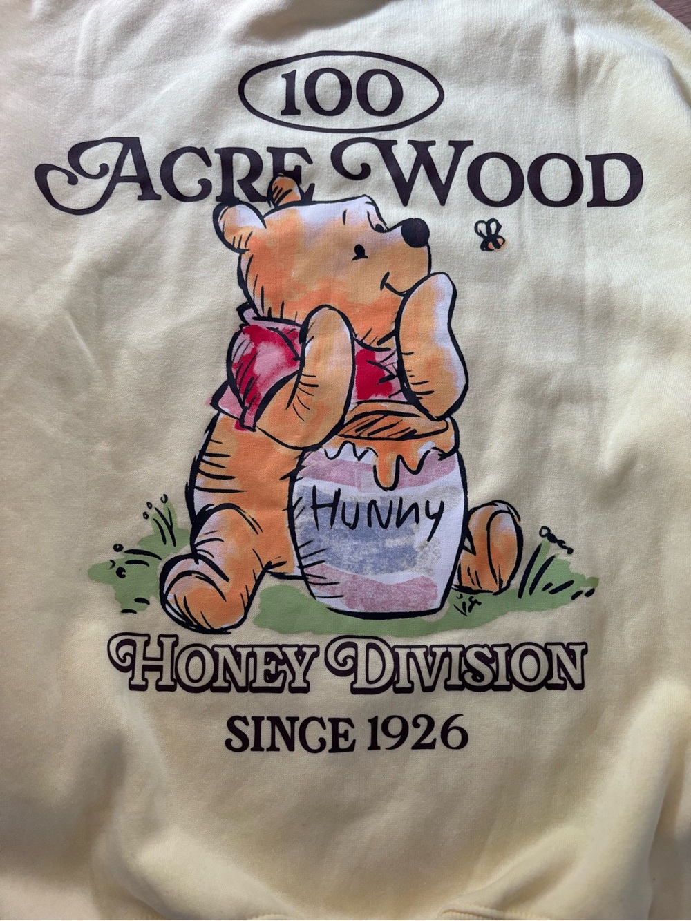 Disney Yellow Winnie the Pooh "100 Acre Wood" Graphic Pullover Sweatshirt XXS - Picture 6 of 6